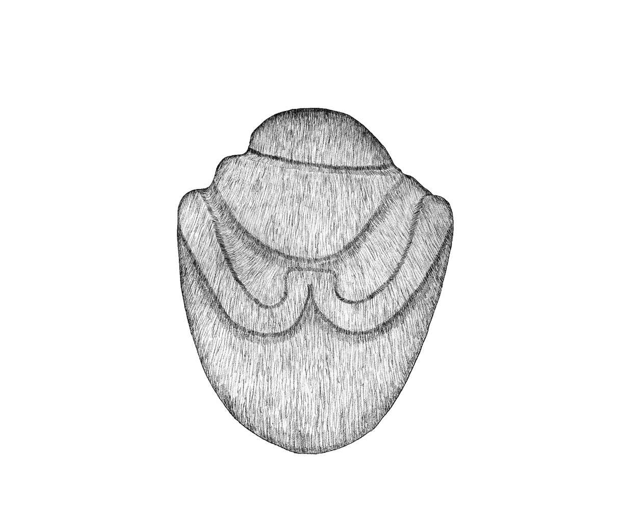 Briceño
